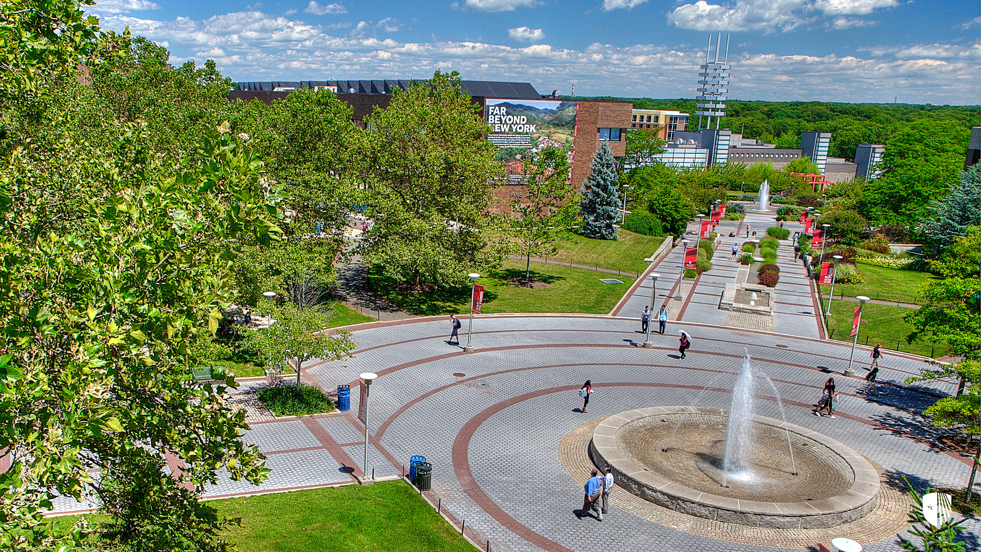 Stony Brook University