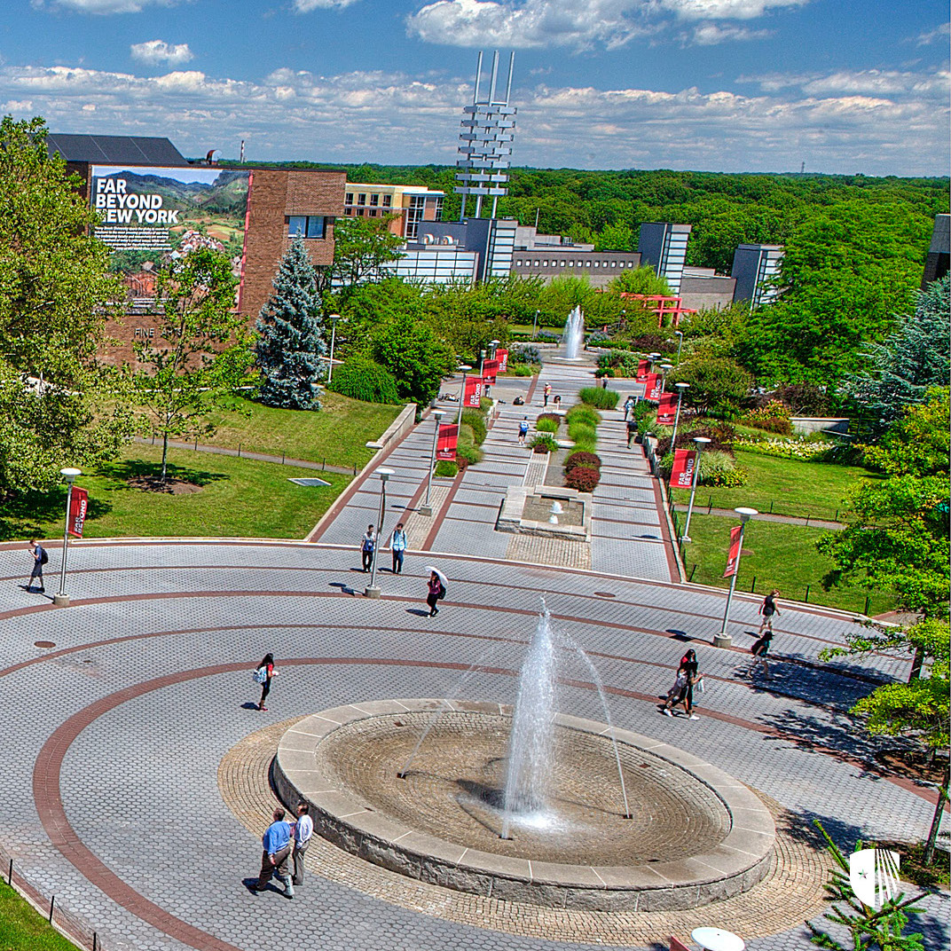 Stony Brook University
