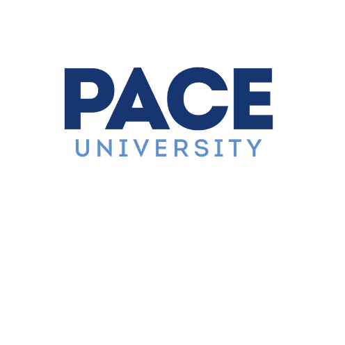 Pace University Awarded $300K Teagle Foundation Grant to Launch NYC Civic Fellowship